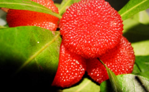 (��(j��ng)��)���l(xi��ng)�ė�÷����