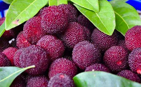 �ɗ�÷���Ľ�(j��ng)��(15ƪ)