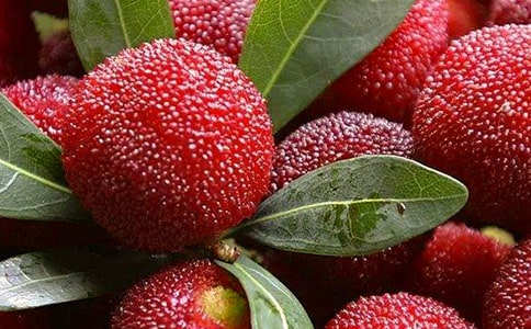 ���l(xi��ng)�ė�÷����