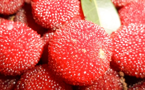 ��÷600������