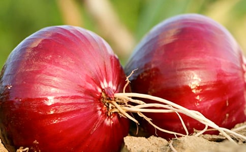 �����[�^�v�Uӛ�����x���