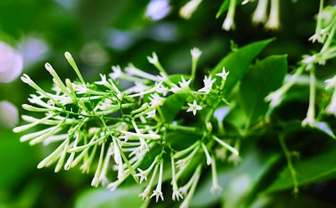 [��]һ��ҹ��������3ƪ