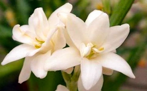 ���]��ҹ��������13ƪ