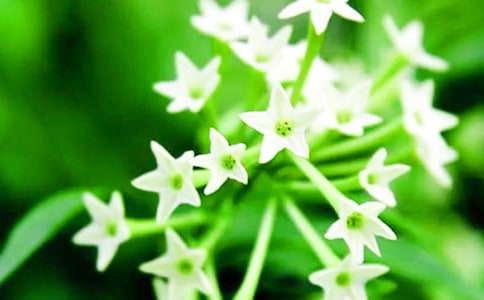 [����]ҹ��������14ƪ