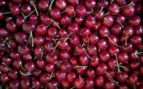 ������������3ƪ