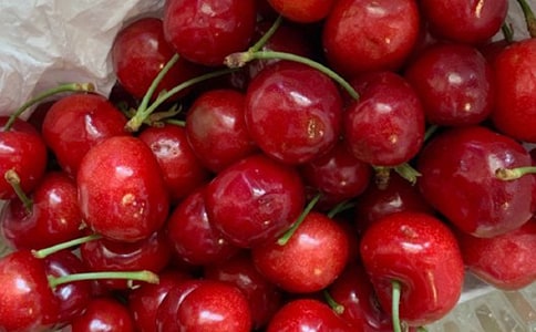 ���Ҙ�����15ƪ����(y��u)�x��