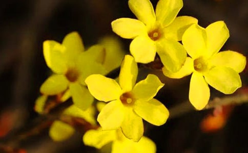 ӭ�������ģ�ͨ��35ƪ��