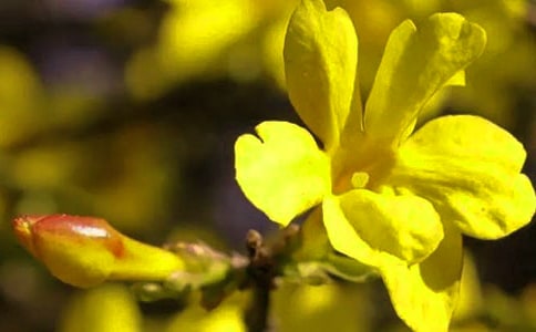 ӭ�������Č�(sh��)�á�15ƪ��