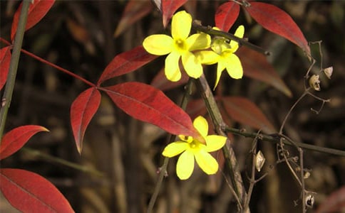 ӭ�������ģ����x35ƪ��