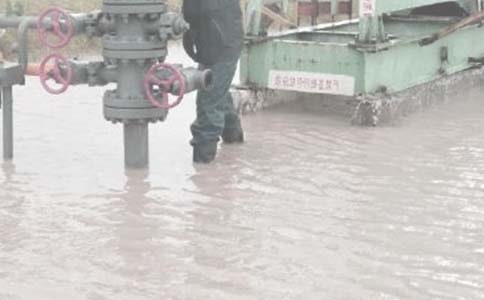 �L�c��������