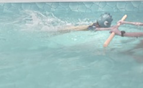 ��Ӿ������