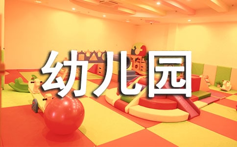 幼兒園教師個人工作總結(jié)合集(13篇)