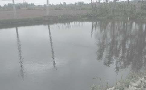 �Ҽҵ�С�~������