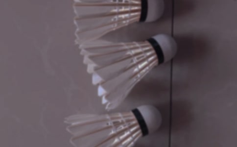 �W(xu��)����ë�����Č��ã�14ƪ��