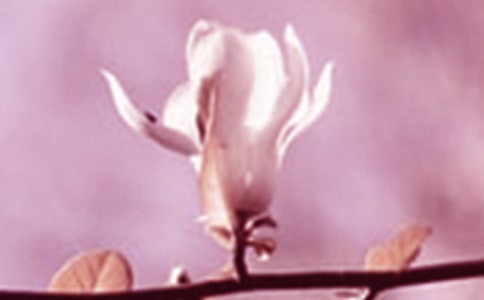 �P(gu��n)�����m��������