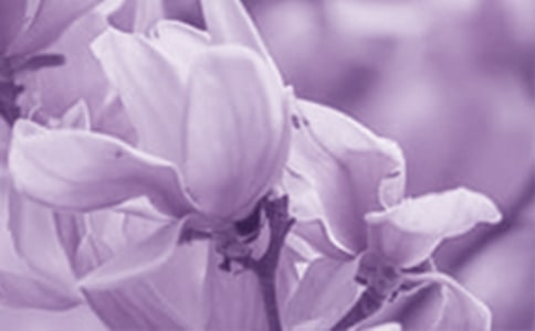 ���m������15ƪ[��]