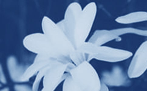 ���m������15ƪ[ͨ��]