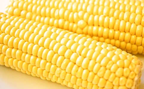 ����������[��(y��u)�x8ƪ]