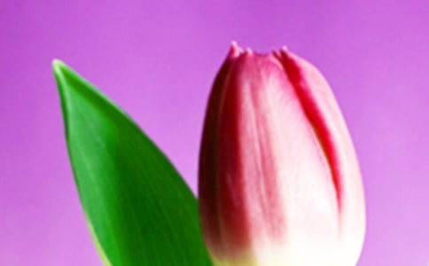 [���x]����������15ƪ