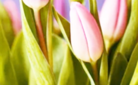 ӛ���Ї�(gu��)�H�����㻨չ_750��