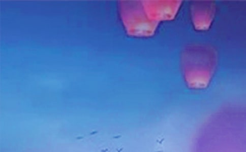 Ԫ���L(f��ng)�׵�����