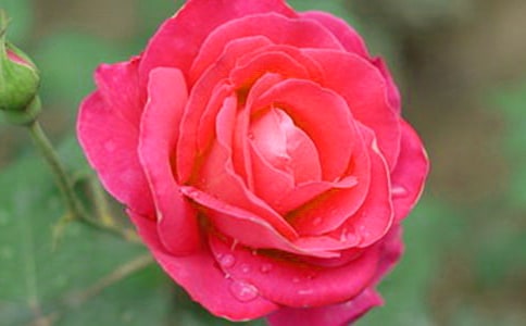 �P(gu��n)���¼���������