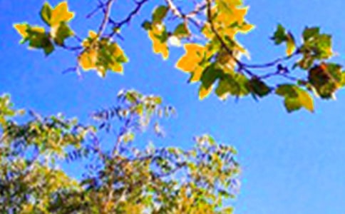 ����(g��)���簲���ţ����x190�䣩