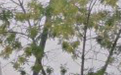 ��(ji��n)����ÿ��һ���簲���Z(y��)����49��