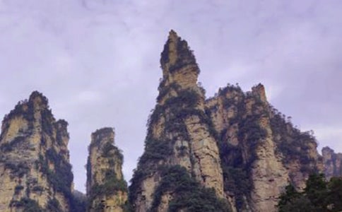 [����]�Ώ��ҽ�����