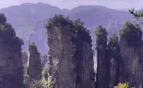 ���˵ď��ҽ����ģ����T��