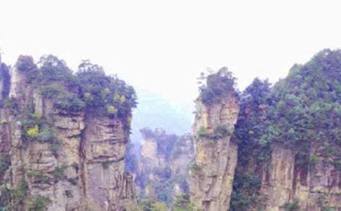 (��(y��u)��)���ҽ�����