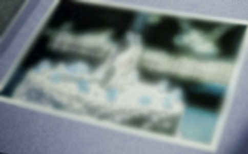 ��Ƭ��Ĺ������ģ��ᣩ