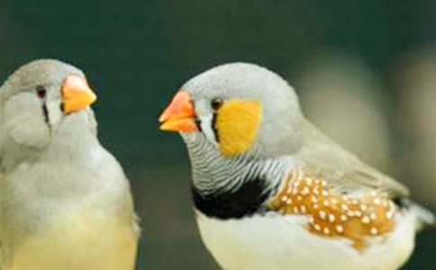 �������B(ni��o)���x���