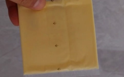 巖鹽芝士綠茶的做法是什么