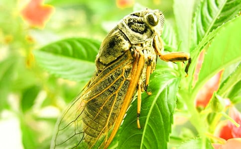 ׽֪�����ľ�Ʒ[14ƪ]