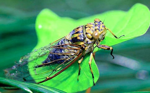 ����(j��ng)�䡿׽֪������