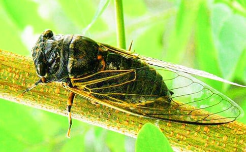 [��(j��ng)��]׽֪������