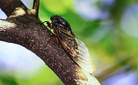 ׽֪�����ģ�����15ƪ��