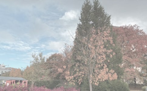 �Ϻ���ɽֲ��@���ι�(ji��)���g�����TƱ��r