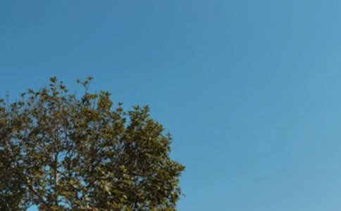 ����l(f��)���f(shu��)�f(shu��)