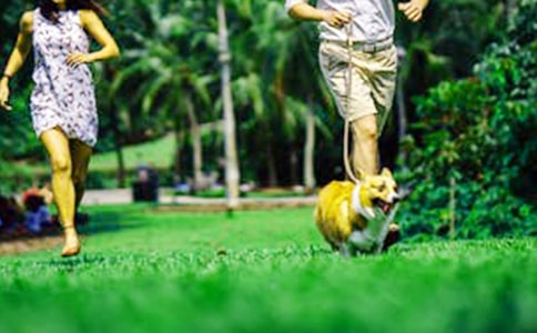 周末問候短信650句