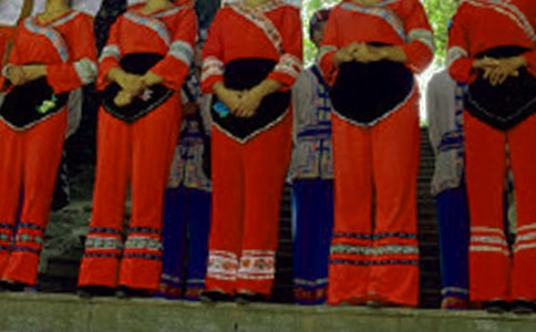 �V��������������ʲô