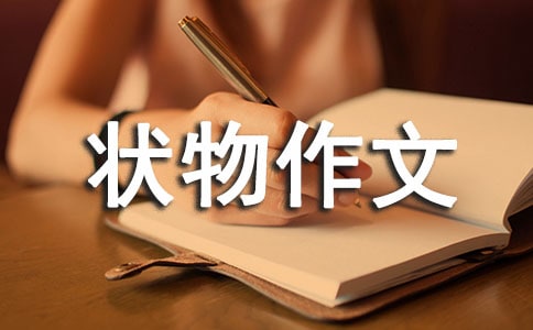 �ɐ۵�С�u_��������