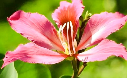 ���G��������