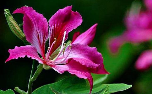 ���G��������400�֣�ͨ��47ƪ��