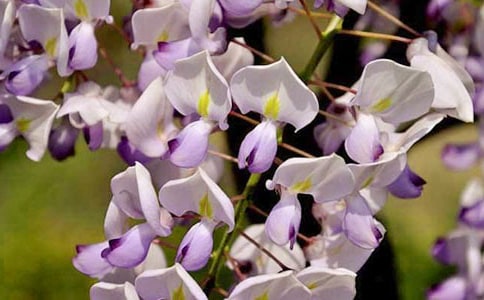 ���x���ٻ�����3ƪ