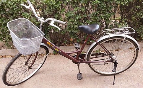 騎自行車(chē)的作文錦集15篇