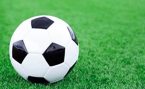 ����С�W(xu��)���Ĵ�ȫ��8ƪ��