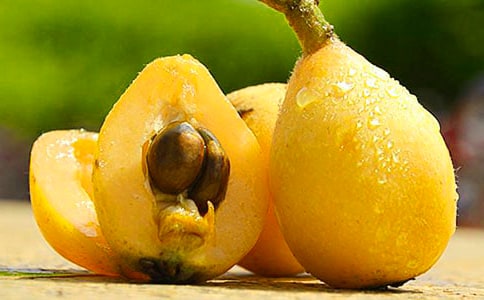 ժ�������ĺϼ�[15ƪ]