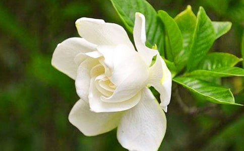 ֲ�����d�ӻ��͘�(sh��)